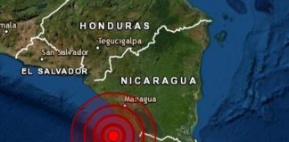 Foto: No entres en pánico: recomendaciones en caso de sismo /Cortesía