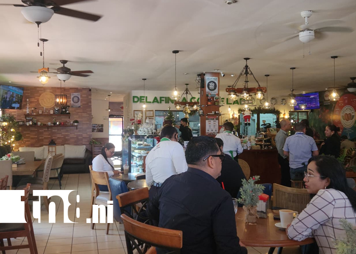 Foto: Delafinca puso a Nicaragua en el mapa del café mundial /TN8