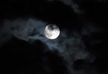 Foto: Superluna del castor /cortesía