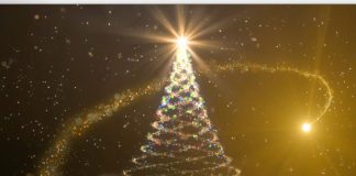 Foto: UAM comienza la Navidad con la encendida de luces de su árbol navideño / TN8