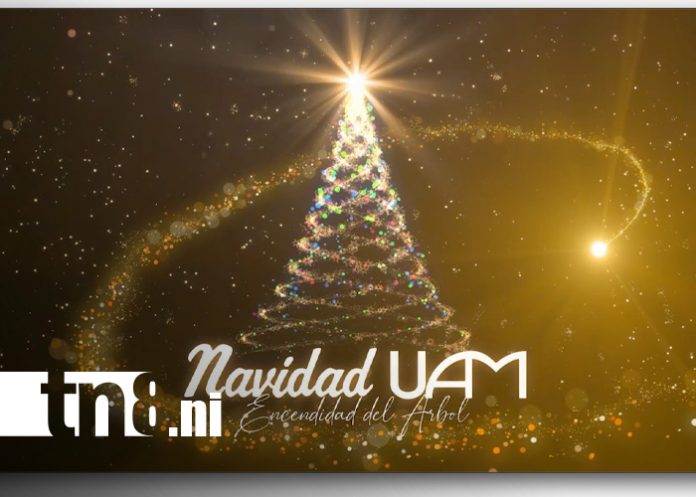 Foto: UAM comienza la Navidad con la encendida de luces de su árbol navideño / TN8