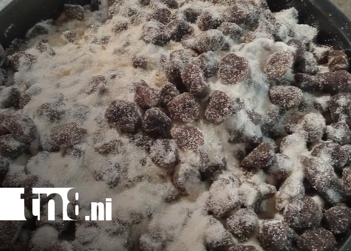 Foto: Talleres de dulces en Masaya /TN8