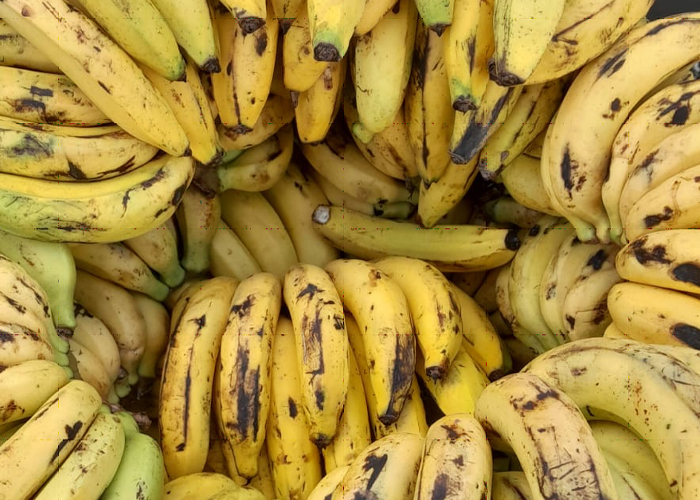 Foto: Mercados abastecidos de productos típicos de temporada/Cortesia