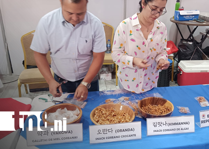 Foto: Festival Gastronómico y Tradiciones Navideñas reúne a cientos de familias/TN8