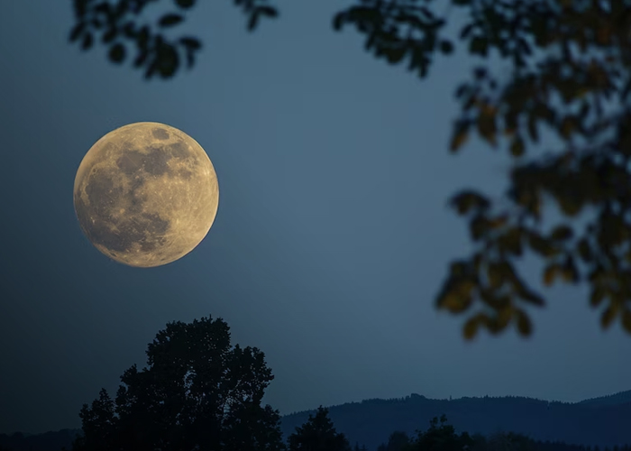 Foto: La Superluna del Castor /cortesía 