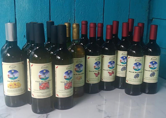 Foto: Ministerio de Emprendimientos capacita a productores de vinos /cortesía