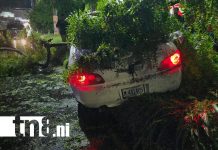 Aparatoso accidente de tránsito en la Carretera a Masaya deja a extranjero lesionado Foto: Aparatoso accidente de tránsito en la Carretera a Masaya deja a extranjero lesionado/TN8