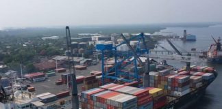 Foto: Nicaragua apunta a más de 100 millones en exportaciones / Cortesía
