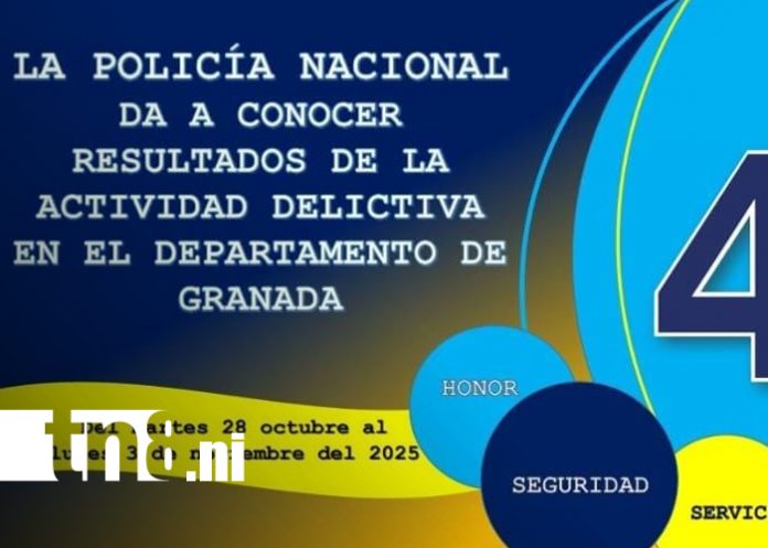 Foto: Policía Nacional desarticula banda que sembraba el miedo en Granada/TN8
