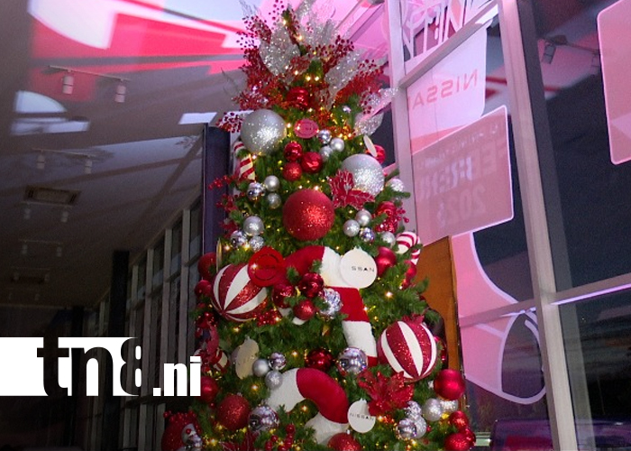 Foto: Campaña de Navidad Nissan: estrena auto nuevo y vive la experiencia/TN8