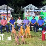 Foto: Jalapa abre la temporada de pólvora con seguridad y tradición /TN8