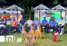 Plan Pólvora 2025 garantiza fiestas seguras y responsables en Jalapa Foto: Jalapa abre la temporada de pólvora con seguridad y tradición /TN8