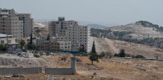 Foto: Israel lanza plan colonial masivo / Cortesía