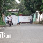 Incertidumbre en el barrio José Benito Escobar de Masatepe tras la muerte de varios animales Foto: Familias exigen justicia tras muerte de perros y aves en Masatepe /TN8