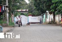 Incertidumbre en el barrio José Benito Escobar de Masatepe tras la muerte de varios animales Foto: Familias exigen justicia tras muerte de perros y aves en Masatepe /TN8