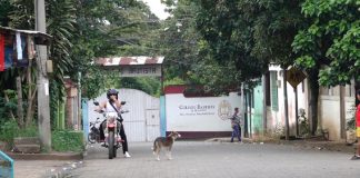 Foto: Familias exigen justicia tras muerte de perros y aves en Masatepe /TN8