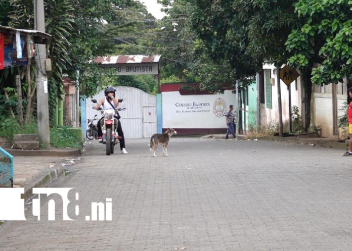 Foto: Familias exigen justicia tras muerte de perros y aves en Masatepe /TN8