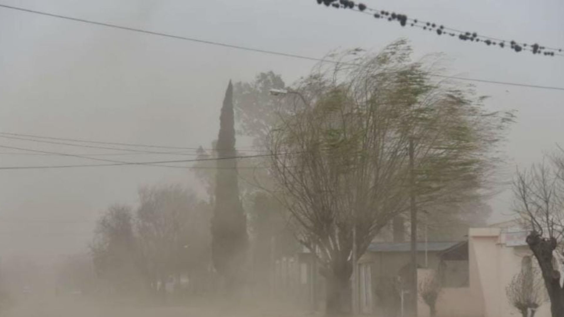 Foto:Clima extremo en el norte de México/cortesía