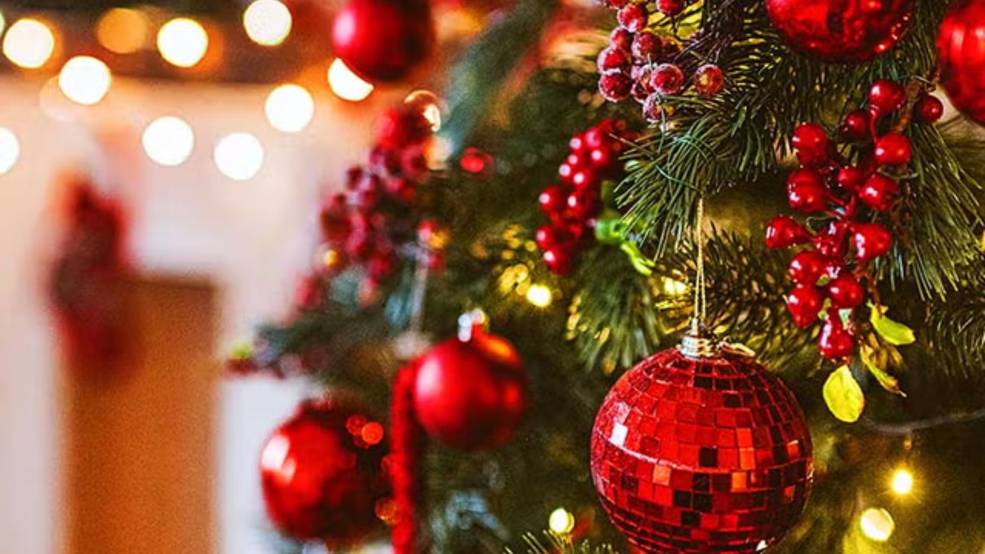 Foto: Navidad que transforma: tiempo de unión, perdón y nuevos comienzos// cortesía