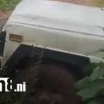 Trágico accidente laboral cobra la vida de joven ayudante en Chontales Foto: Tragedia laboral en San Pedro de Lóvago, Chontales /TN8