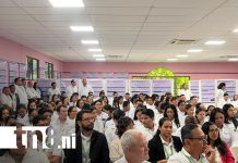 Foto: UCN impulsa la investigación transversal / TN8