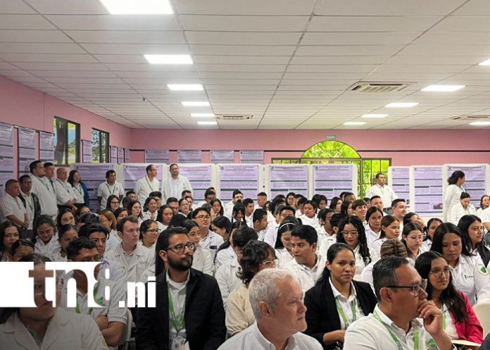 Foto: UCN impulsa la investigación transversal / TN8