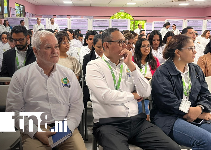 Foto: UCN impulsa la investigación transversal / TN8