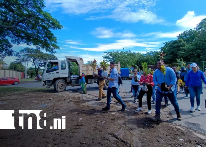Foto: Adiós a la basura en el barrio Julio Buitrago /TN8