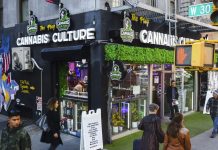 “Miércoles Verde”: el día en que los estadounidenses cambian el alcohol por cannabis Foto: Black Friday del cannabis /Cortesía