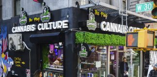 Foto: Black Friday del cannabis /Cortesía