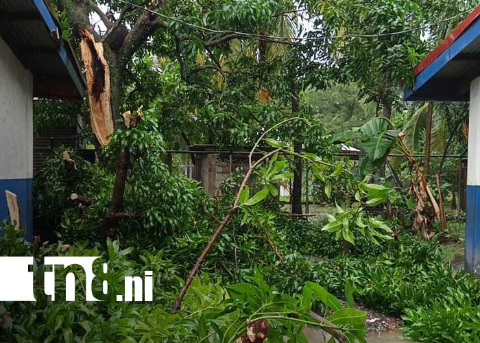 Foto: Afectaciones por tornado en Bilwi / TN8