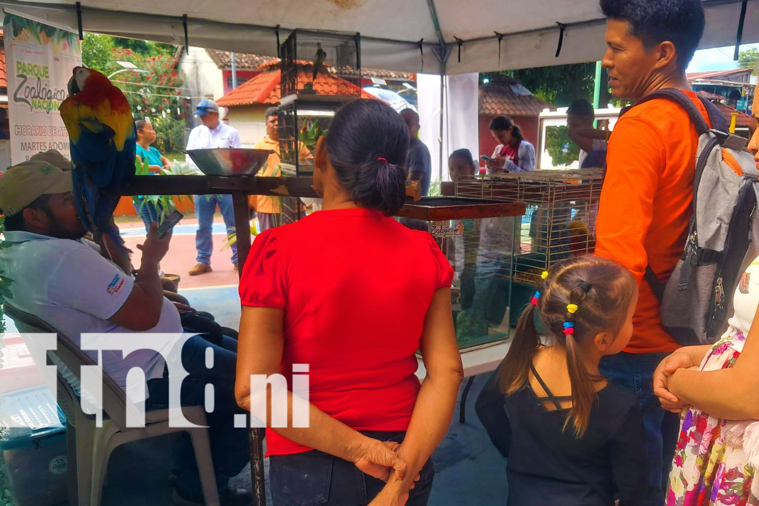 Foto: Una jornada inolvidable con animales en Ometepe/ TN8