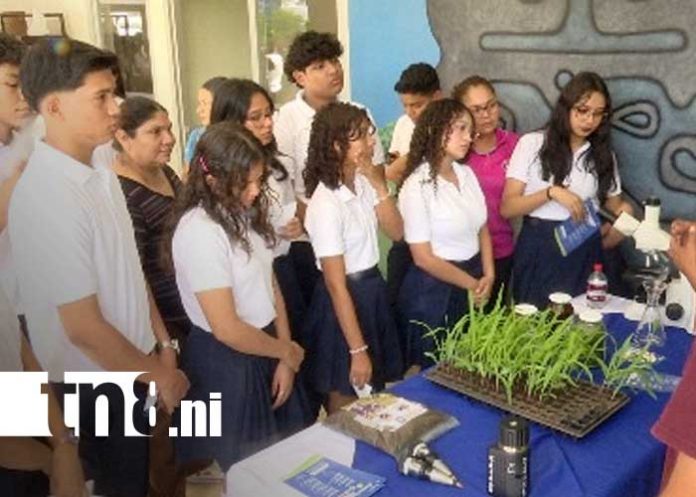 Foto: Oferta educativa y formativa del INATEC en Nicaragua / TN8