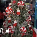 Foto: Feria Navideña desde Managua / TN8