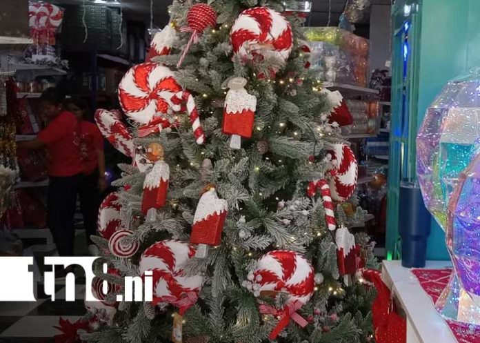 Foto: Feria Navideña desde Managua / TN8