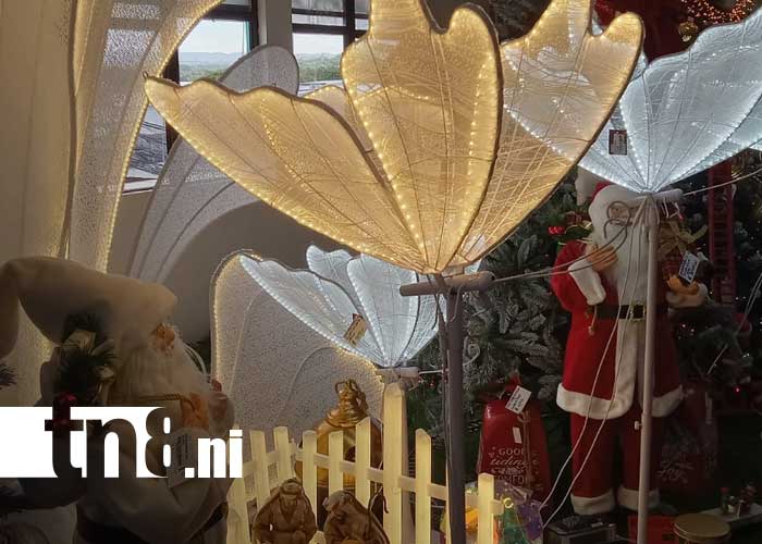 Foto: Feria Navideña desde Managua / TN8