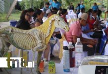 Foto: Educación técnica de Siuna / TN8