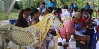 Foto: Educación técnica de Siuna / TN8