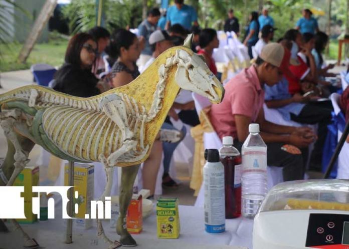 Foto: Educación técnica de Siuna / TN8