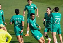 futbol, palmeiras, deportes, entrenamiento