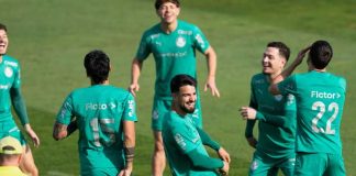 futbol, palmeiras, deportes, entrenamiento