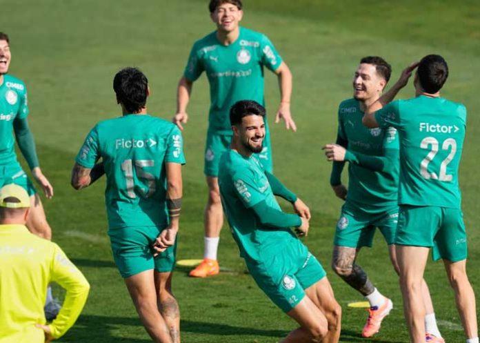 futbol-brasil-web futbol, palmeiras, deportes, entrenamiento