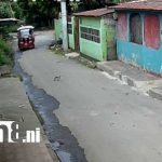 Conductores inhumanos en Managua: aumento de atropellos a gatitos genera consternación Foto: Crueldad contra gatos en barrios de Managua / TN8
