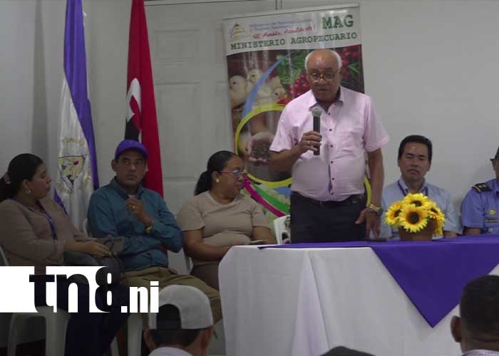 Foto: Fortalecimiento de capacidad de producción para Granada / TN8