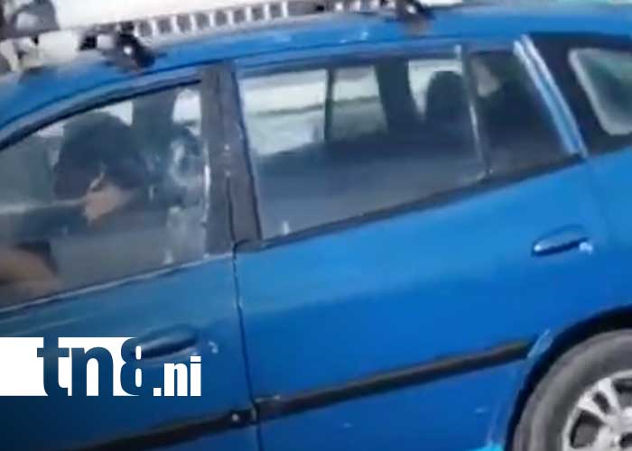 Foto: Indignación por crueldad contra un perrito en Managua / TN8