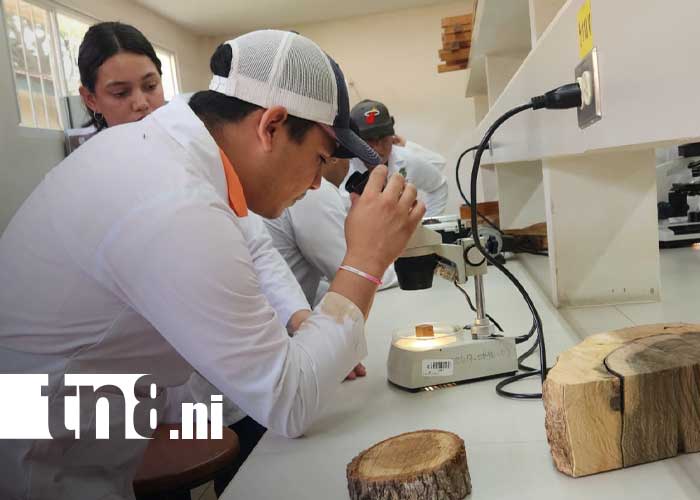 Foto: Inauguración de Laboratorio para la Madera en la UNA / TN8