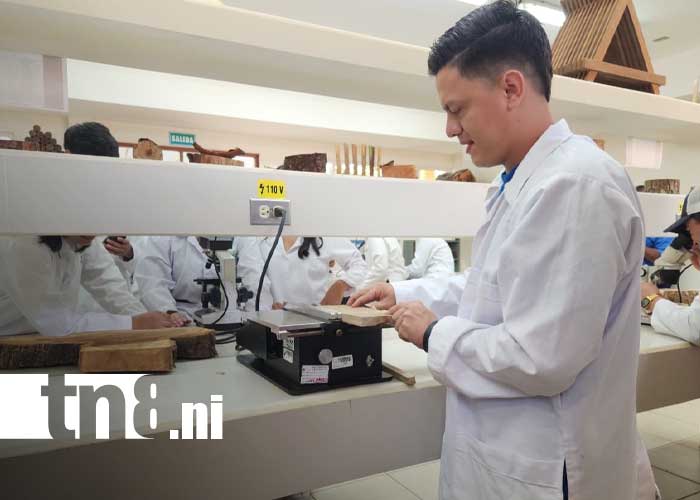 Foto: Inauguración de Laboratorio para la Madera en la UNA / TN8