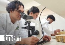 Foto: Inauguración de Laboratorio para la Madera en la UNA / TN8