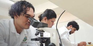 Foto: Inauguración de Laboratorio para la Madera en la UNA / TN8
