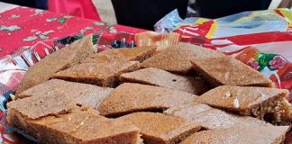 Foto: Espíritu navideño destacan en feria de Santa Teresa /TN8